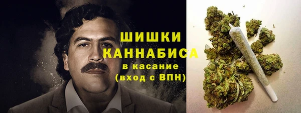 Альфа ПВП Инта
