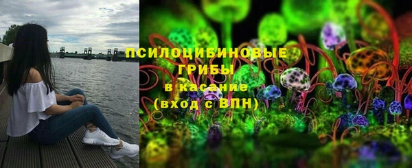 индика Козловка