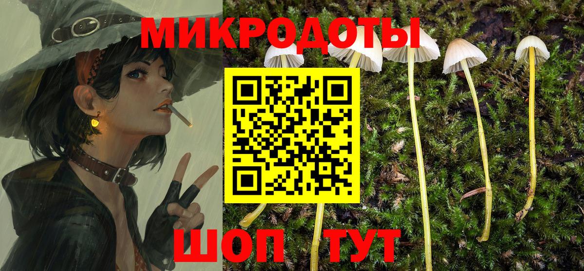 наркота  Псилоцибиновые грибы мухоморы  Вход с VPN  Всеволожск 